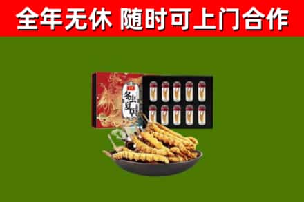 宜秀区回收冬虫夏草价格